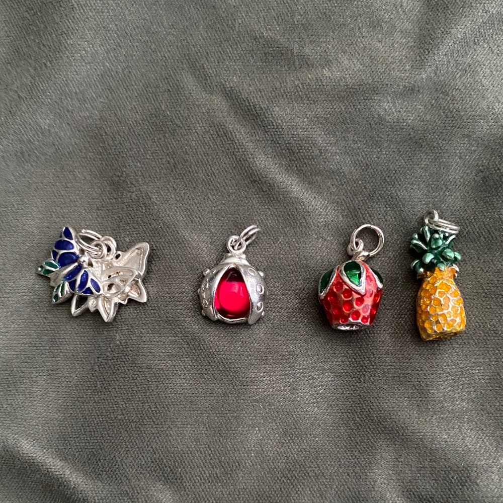 Colorful Fruit, butterfly, and lady bug Charms Set